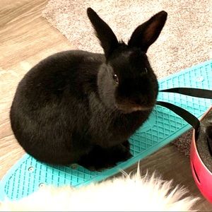 Meet your Posher, Brooke